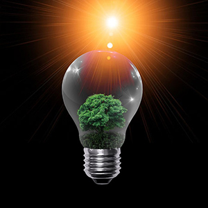 Planète Oui, un fournisseur d'électricité 100% verte